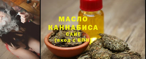шишки Лабытнанги