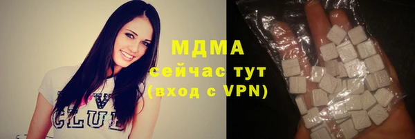 шишки Лабытнанги