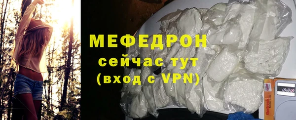 шишки Лабытнанги