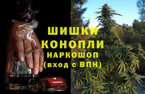 шишки Лабытнанги