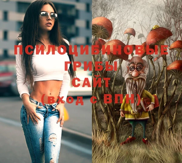 2c-b Арсеньев