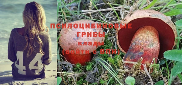 мет Аркадак